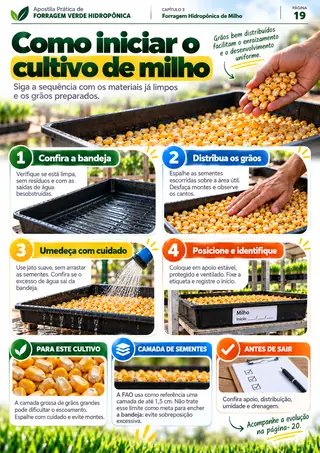 Amostra 5