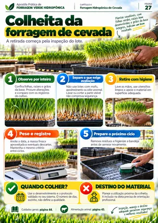Amostra 6